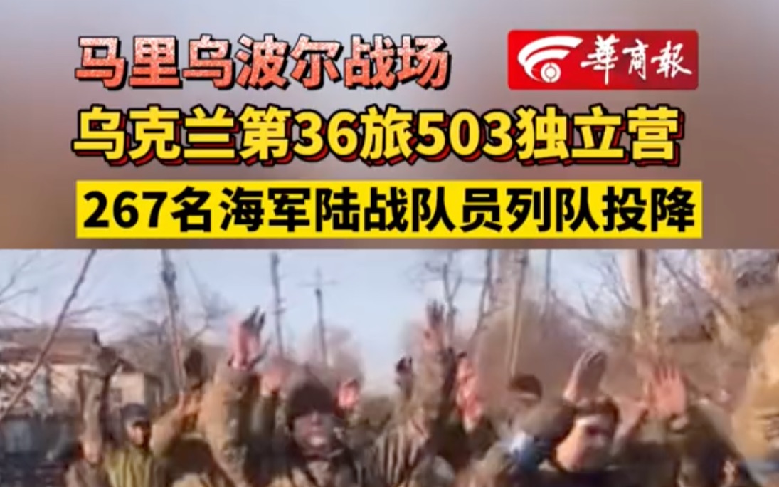 马里乌波尔战场乌克兰第36旅503独立营267名海军陆战队员列队投降