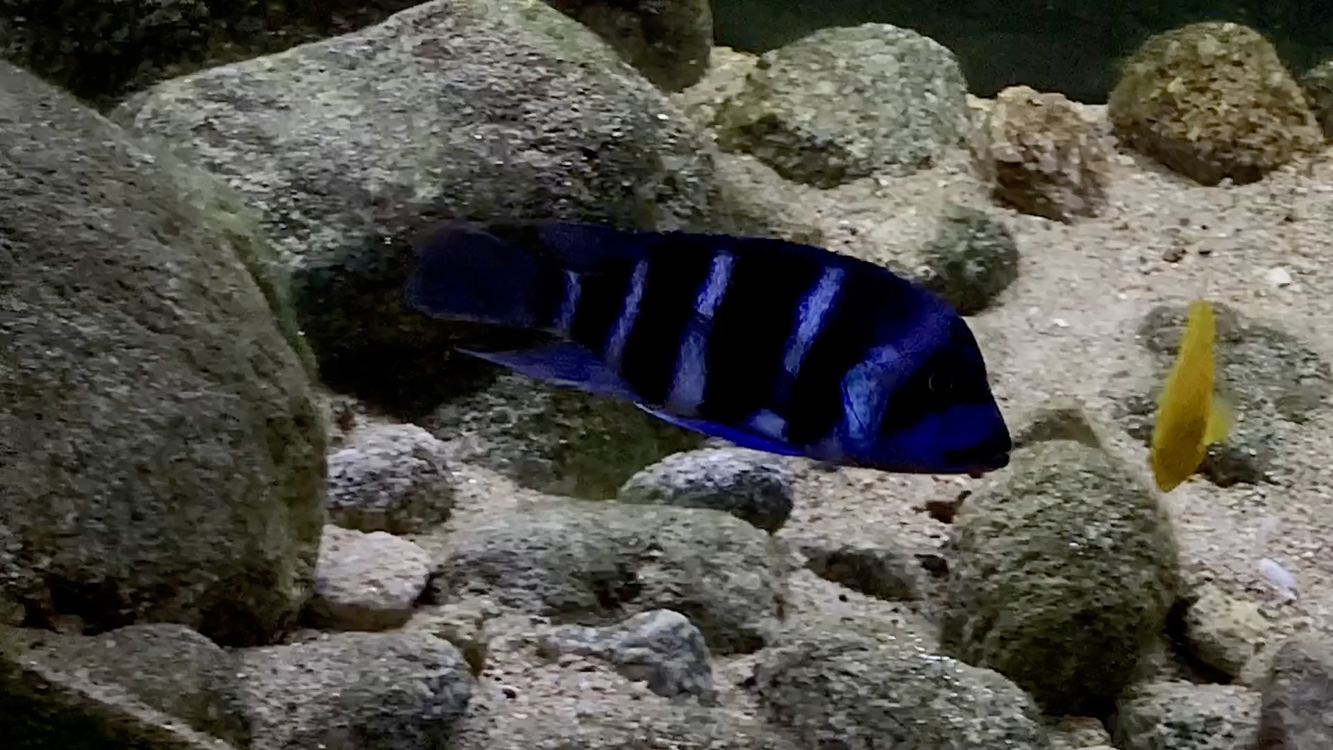 萨伊蓝 六间 三湖 坦湖