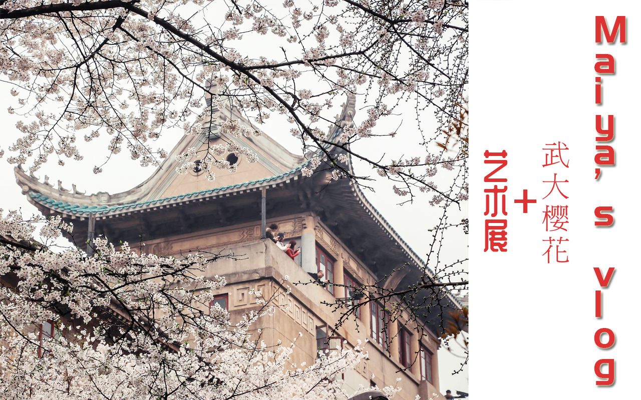 【maiyas vlog】武汉大学樱花之旅 偶遇的艺术展
