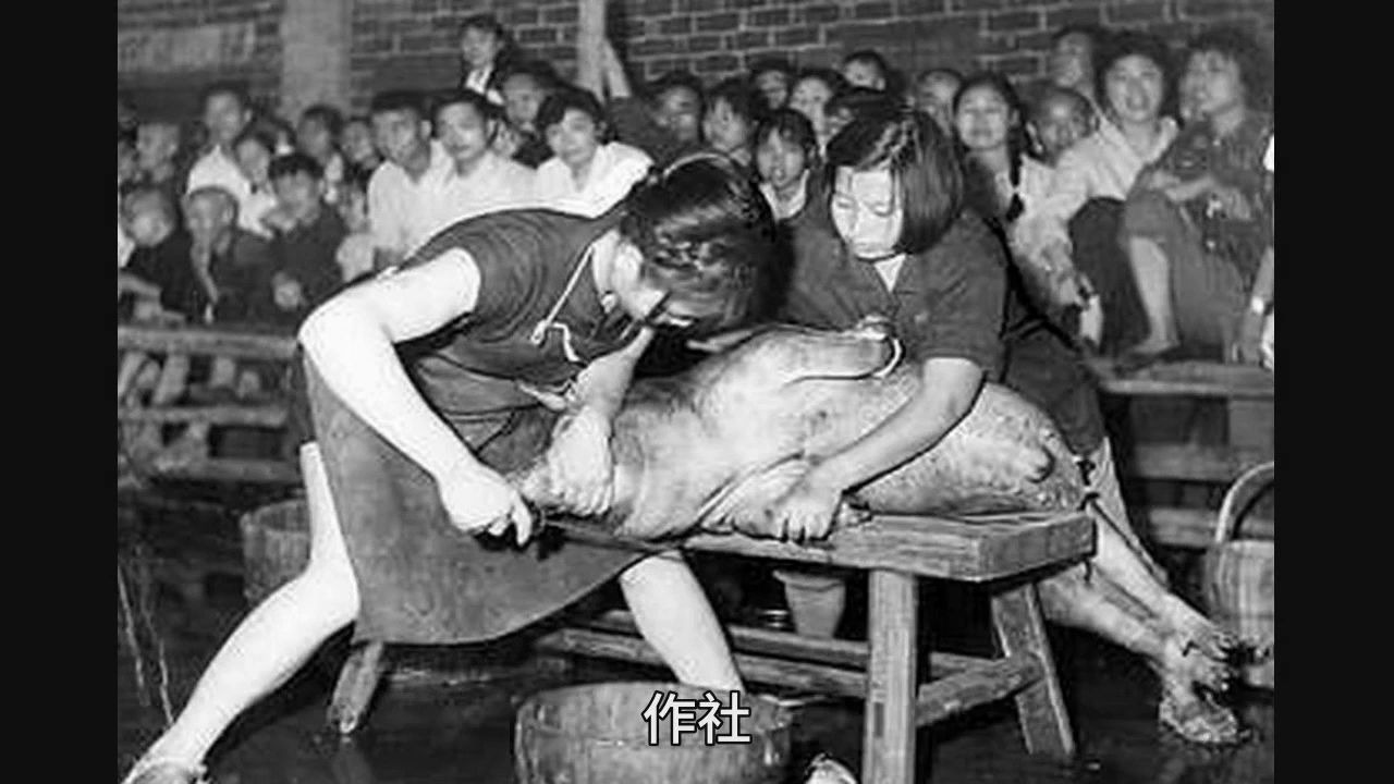 [图]60年代的新中国女子珍贵老照片，文能织布，武能杀猪