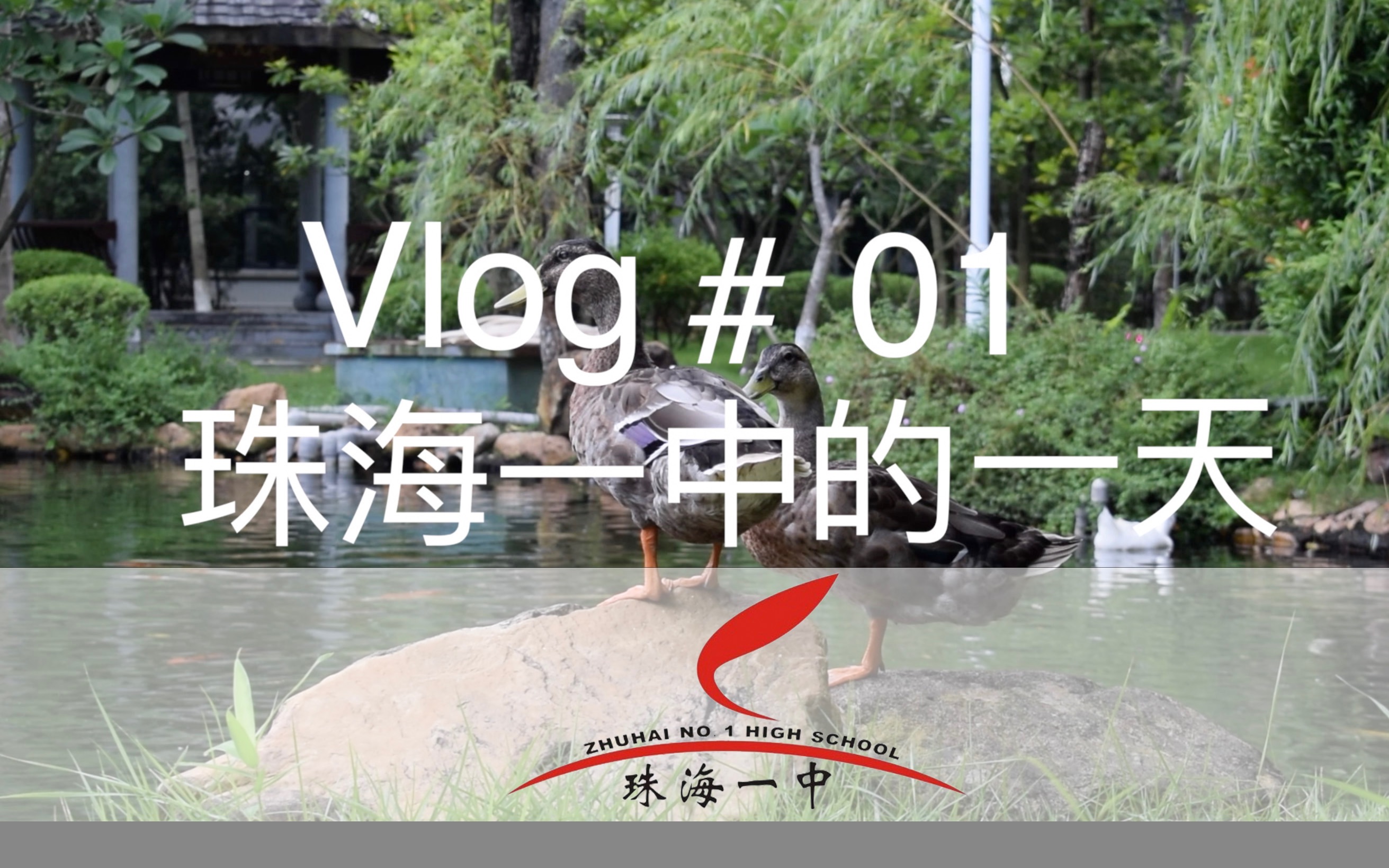 【珠海一中/VLOG】在全市最好的高中就读是怎样的体验?——珠海一中的一天(2021级高一三班学生作品)哔哩哔哩bilibili