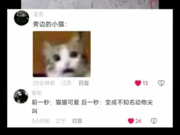 Download Video: 旁边的猫咪：开庭的时候记着带着你啃了两口的猫