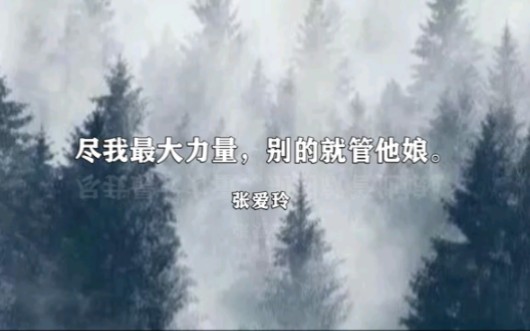 文人的……那些脏话哔哩哔哩bilibili