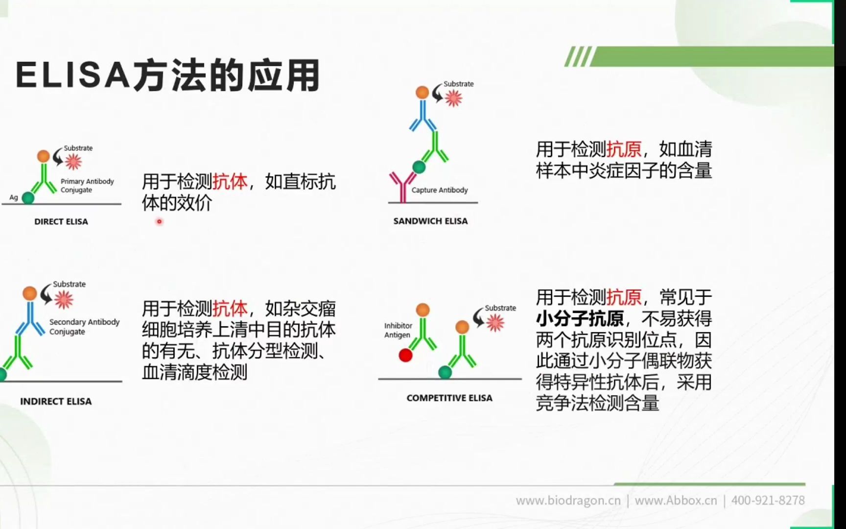 ELISA实验流程及常见问题解答(上)哔哩哔哩bilibili