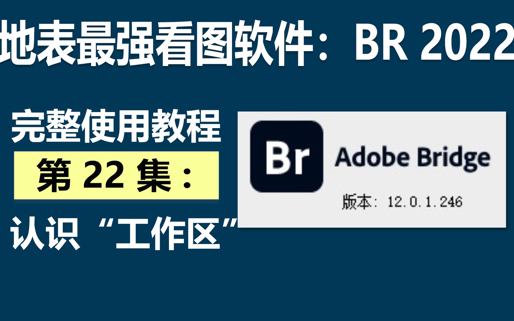 地表最强看图软件:BR2022完整教程第22集 认识＂工作区＂哔哩哔哩bilibili