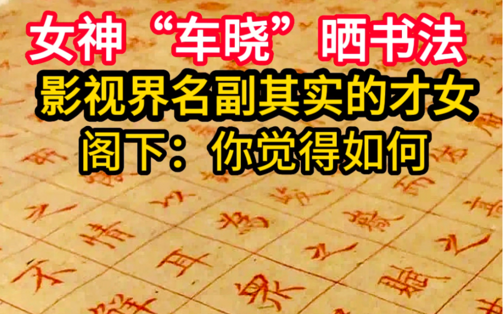 车晓用小楷惊艳的书坛,也惊艳了整个娱乐圈,人美字亦妙!