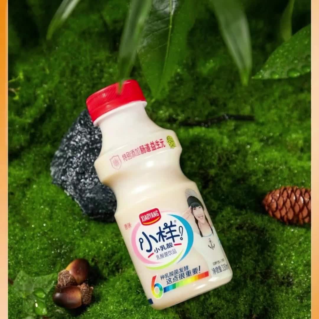小样乳酸菌330ml 12瓶 整箱批发0脂肪学生一整箱包邮夏季饮品常温8053
