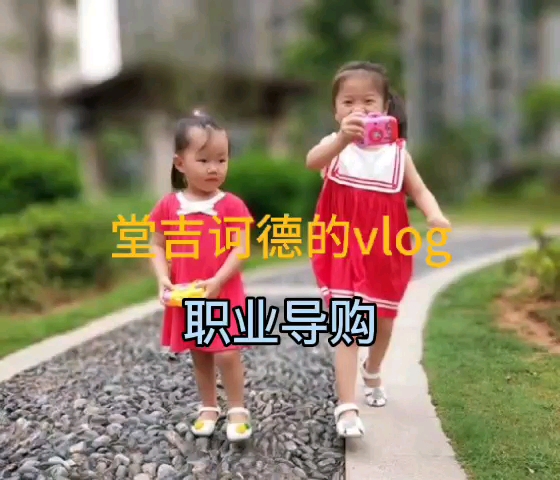 职业导购员6哔哩哔哩bilibili