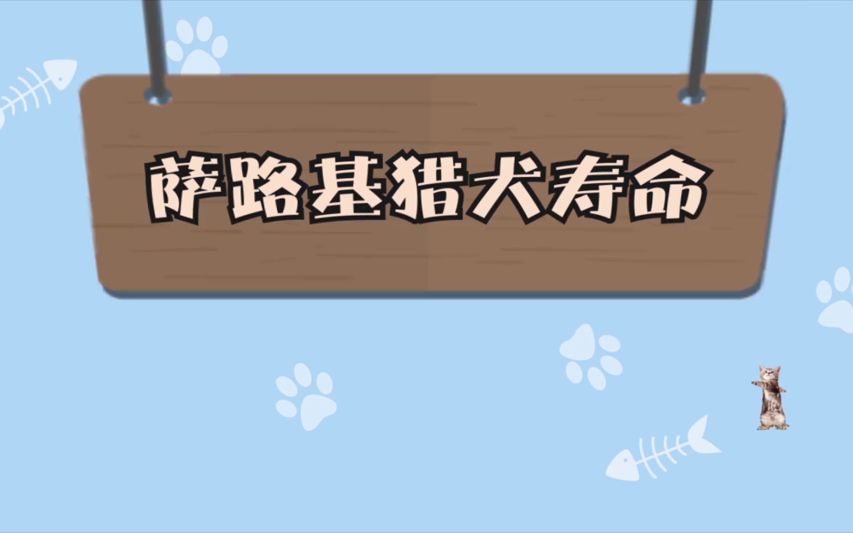 萨路基猎犬寿命哔哩哔哩bilibili