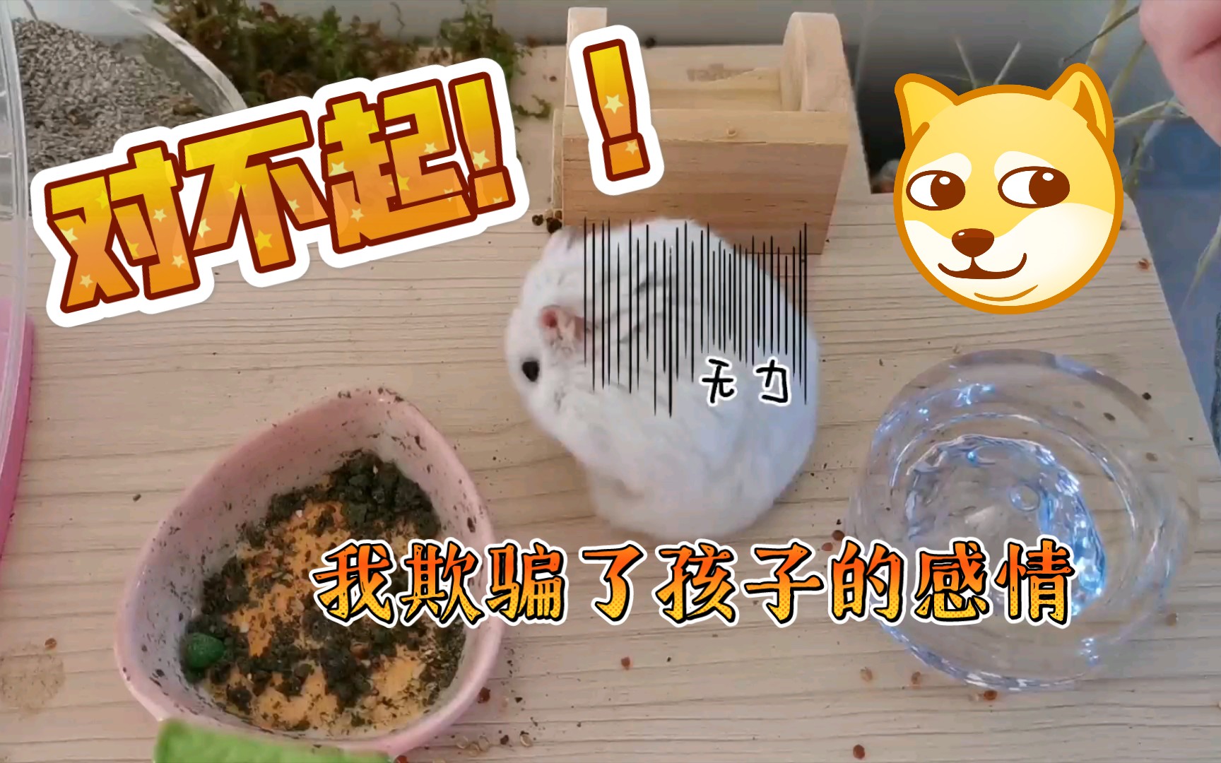 对不起!我骗了孩子!!【王来福的日常】哔哩哔哩bilibili