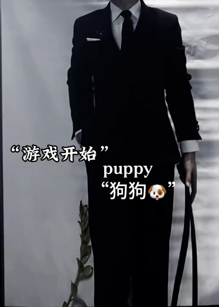 游戏开始了 puppy哔哩哔哩bilibili