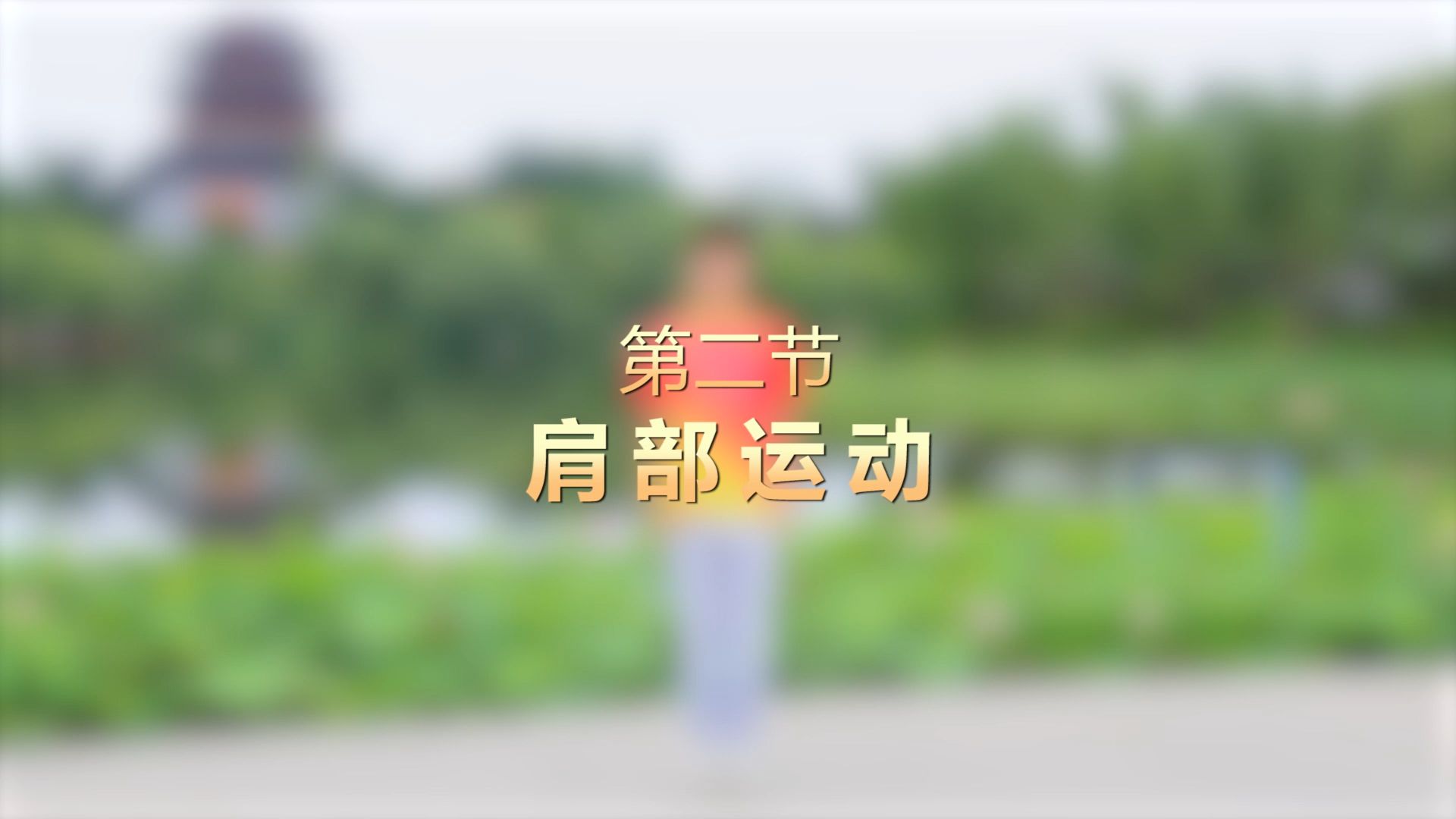 【康姿百德第九套健身操】第二节 肩部运动《再回南泥湾》