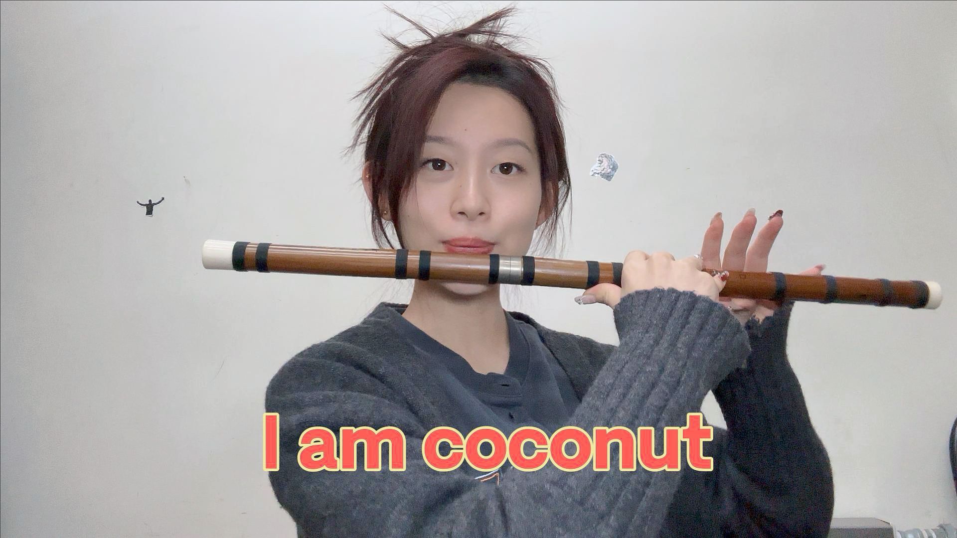 I am coconut笛子版哔哩哔哩bilibili