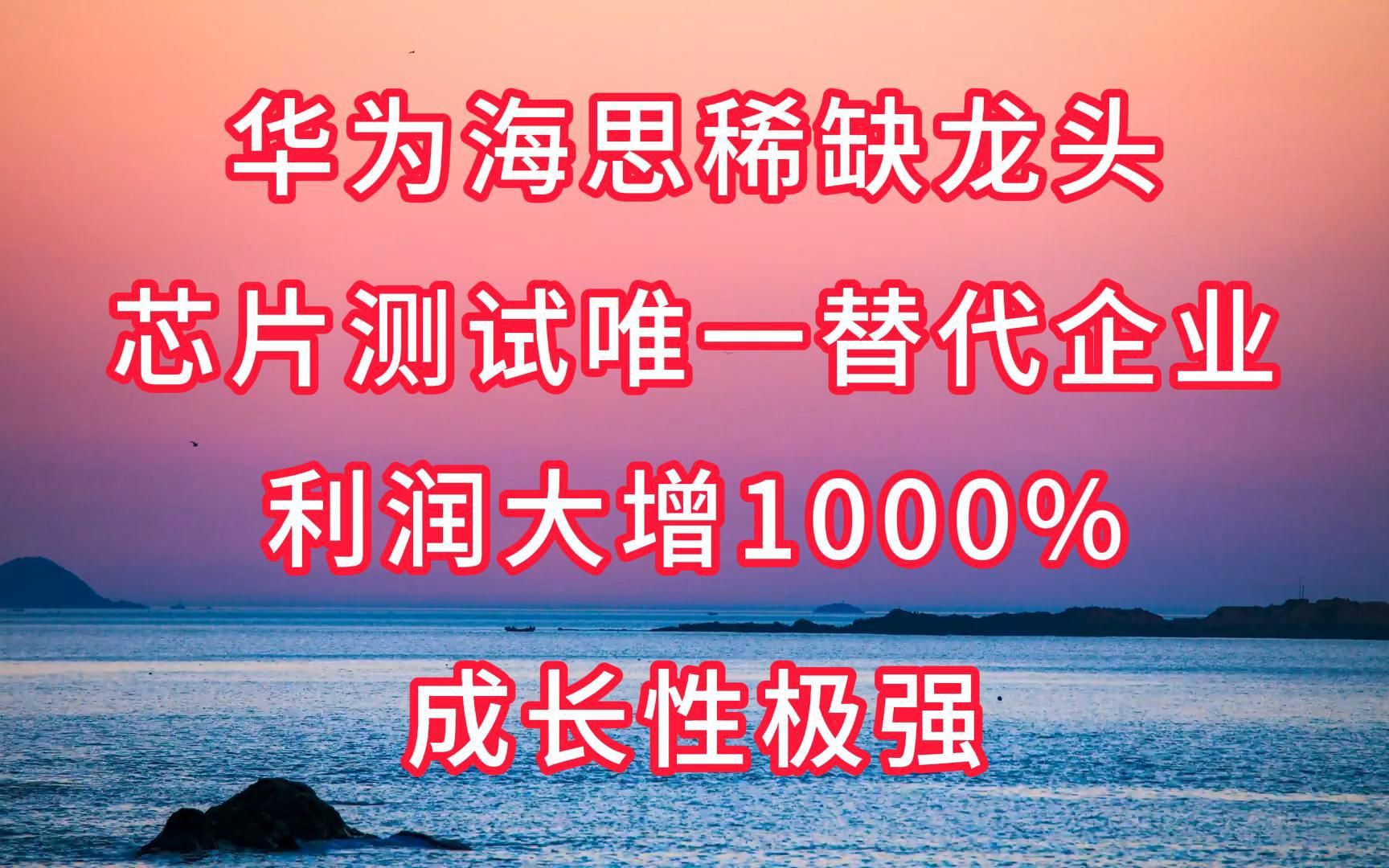 华为海思稀缺龙头,芯片测试唯一替代企业,利润大增1000%,成长性极强哔哩哔哩bilibili