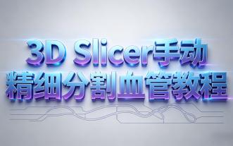 3D Slicer 手动精细分割血管教程