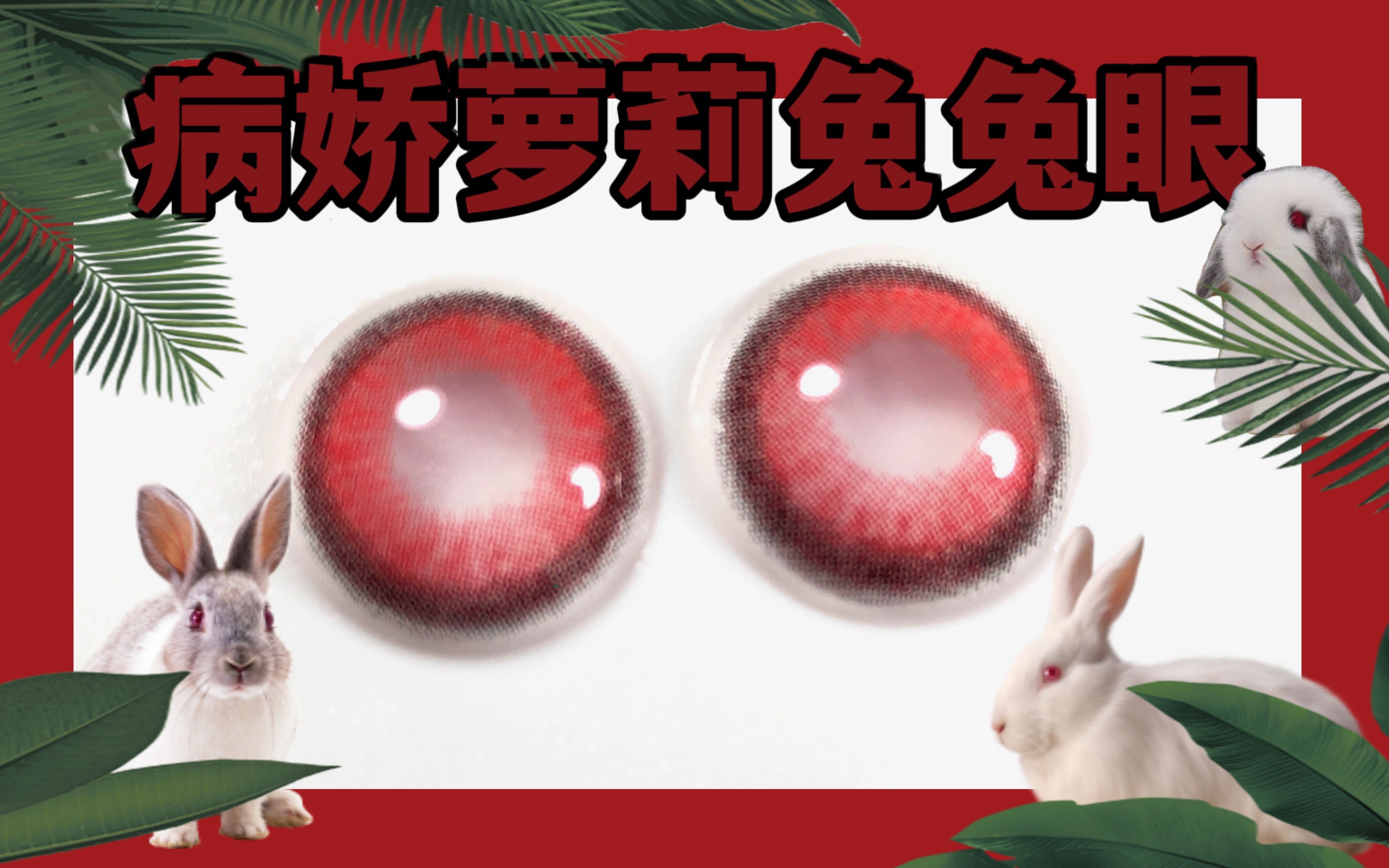 狮姐又清纯有病娇才是真萝莉水灵兔子红眼睛纯欲拿捏了是恶魔选中的