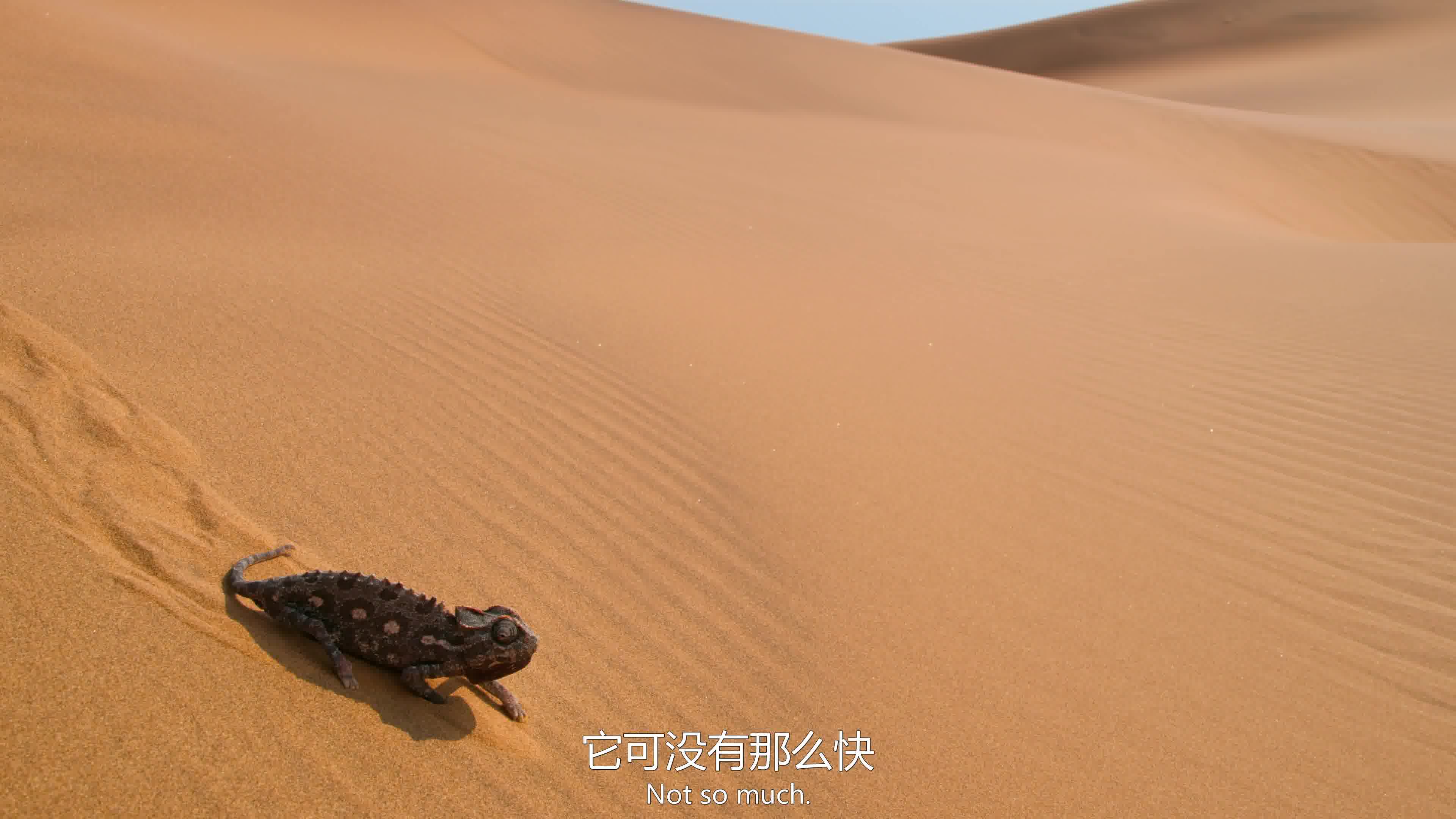 [图]小小世界第二季第六集.Tiny.World.S02E06.Dune.2160p.HD中英双字[沙丘]