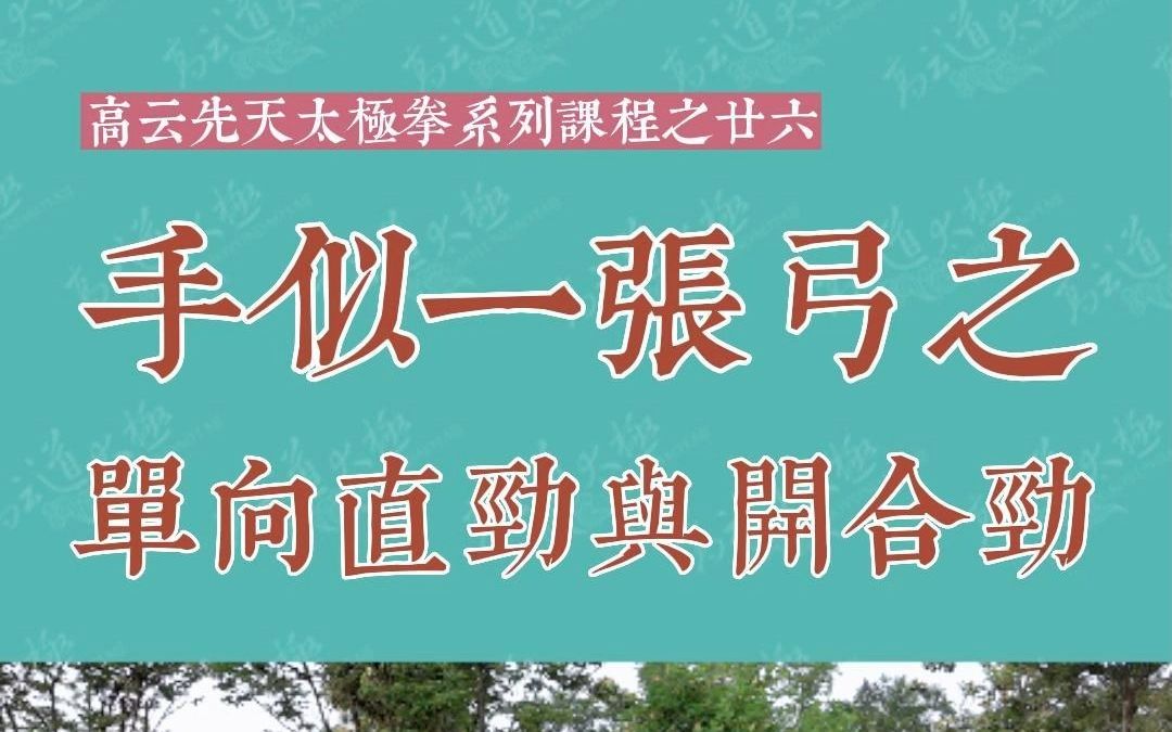 27 手似一张弓 之 单向直劲与开合劲哔哩哔哩bilibili