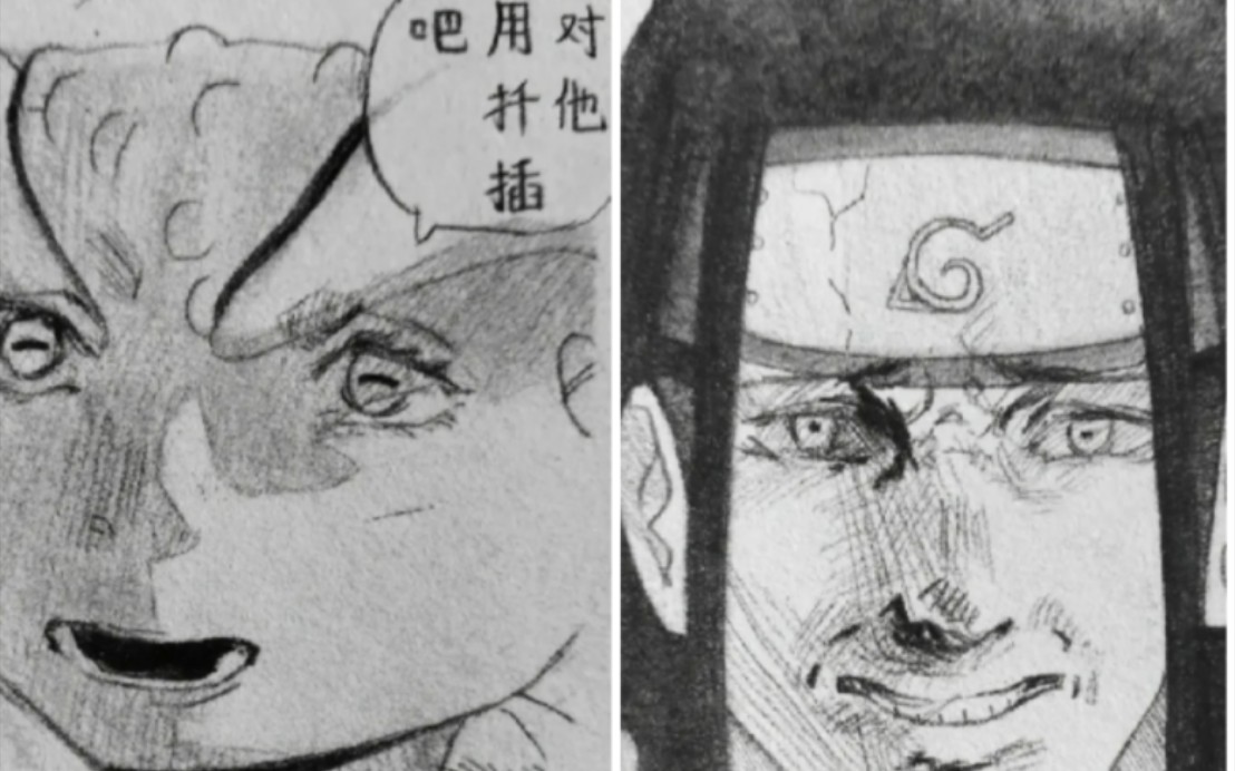 对他使用扦插吧