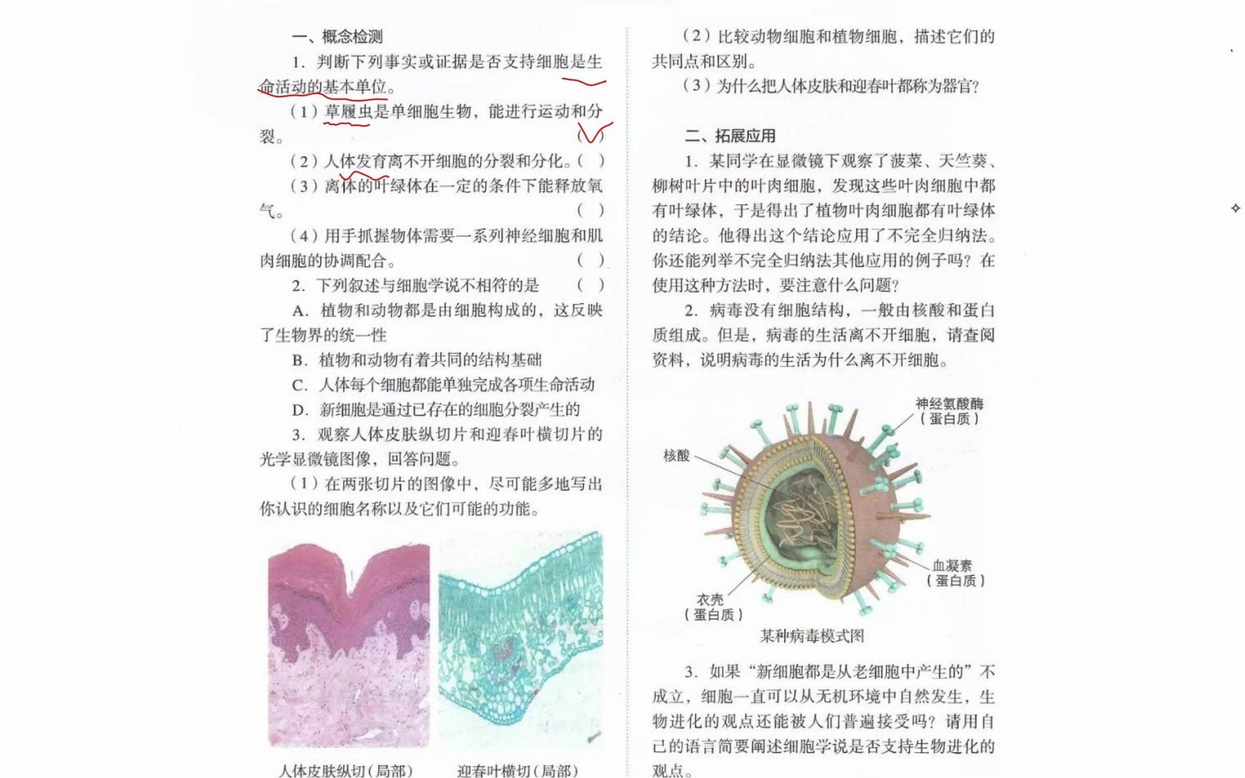 [图]4.【新人教版生物课本解读系列】必修一第一章 走进细胞课后题