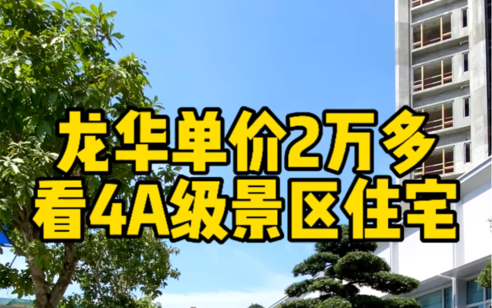 龙华单价2万多 看4A级景区住宅 珑门壹品#深圳新房#龙华新房#珑门壹品哔哩哔哩bilibili