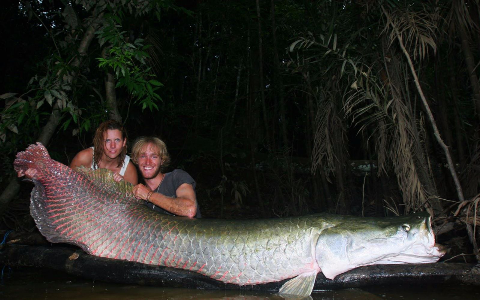亚马逊河生物巨型图片