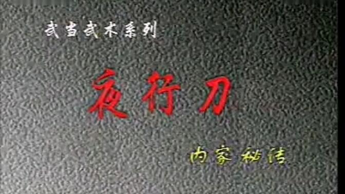 武当松溪派"武林夜侠"游老前辈演练松溪夜行刀及套路拆招教学视频