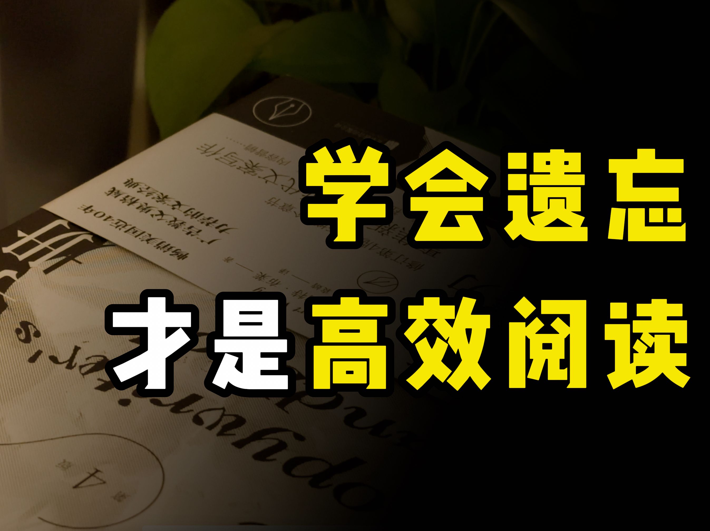 【三个高效阅读方法】看透记忆本质,才能更高效的阅读哔哩哔哩bilibili