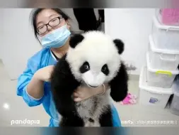 Video herunterladen: 小么么和基地的奶爸奶妈的合照！！！！久违了