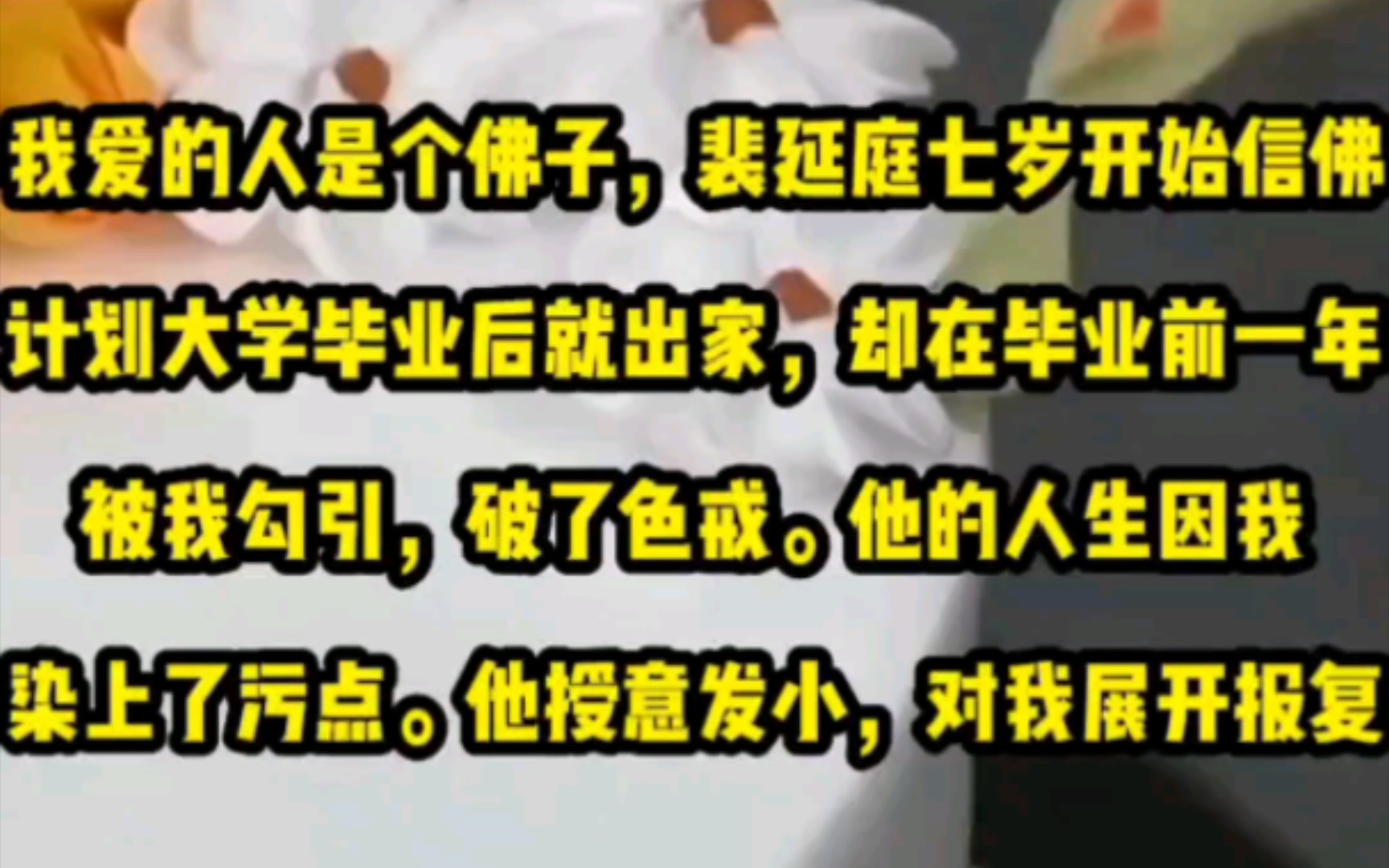 [图]我爱的人是个佛子。裴延庭七岁开始信佛，计划大学毕业后就出家。却在毕业前一年，被我勾引，破了色戒。他的人生因我染上了污点。他授意发小，对我展开报复。裴延庭还