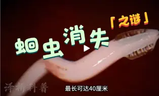 Download Video: 消失的记忆：以前人人有蛔虫，为何现在没有了？