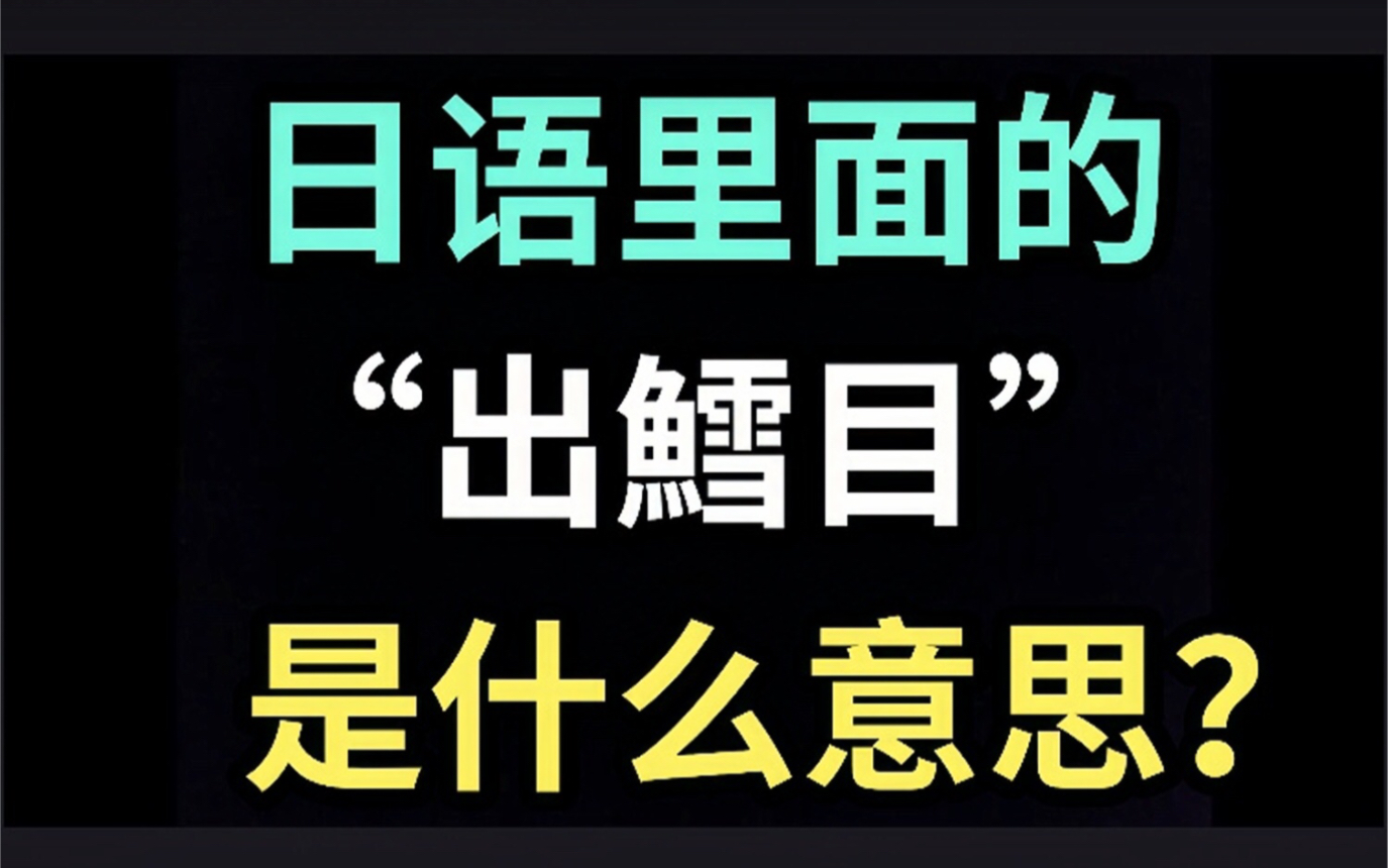 日语里的“出鳕目”是什么意思?【每天一个生草日语】哔哩哔哩bilibili