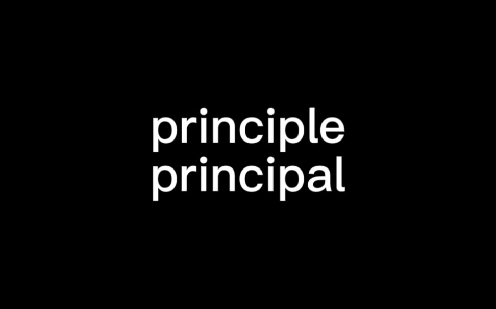 区分:principle&principal哔哩哔哩bilibili