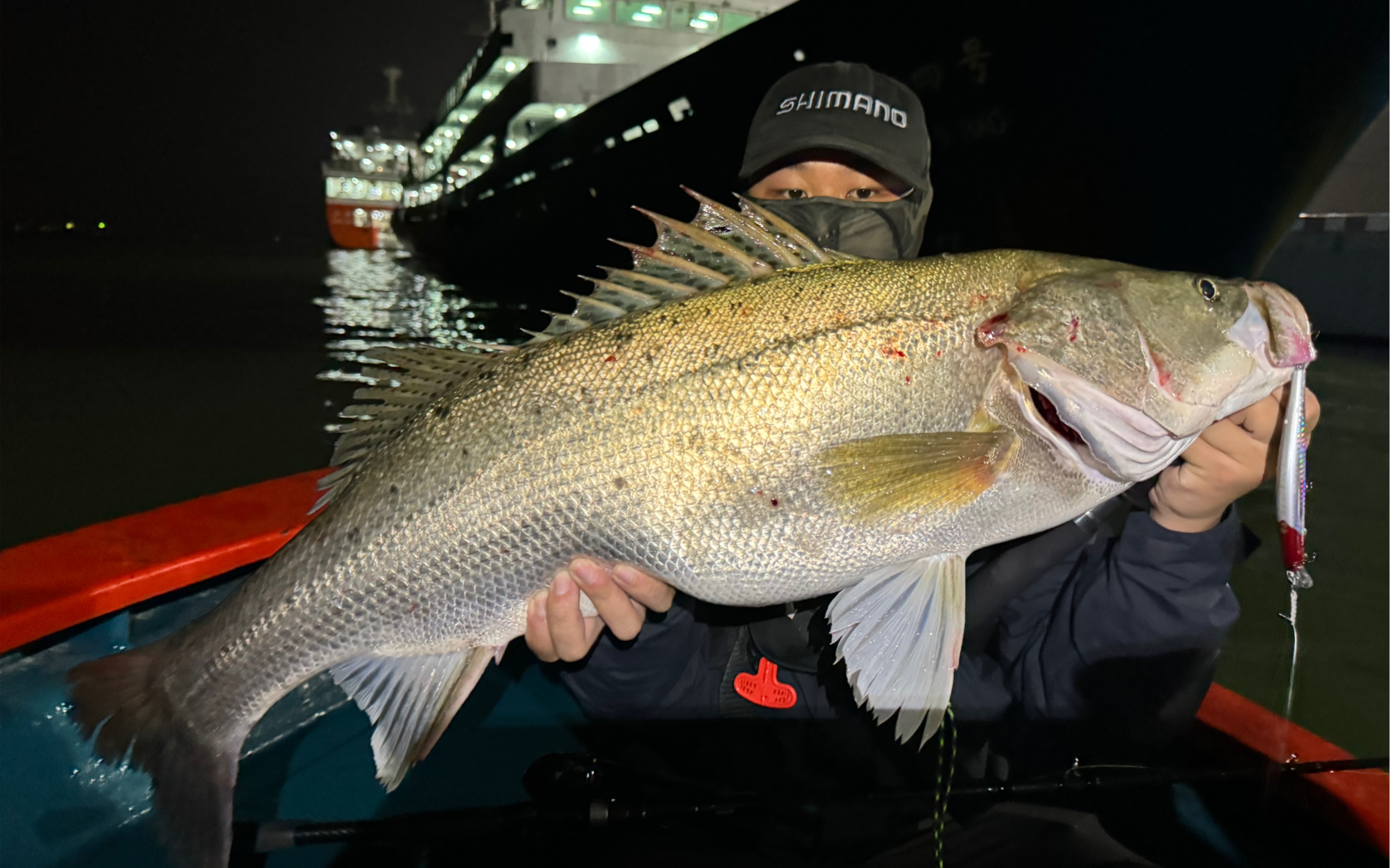小小港口有这么大的海鲈