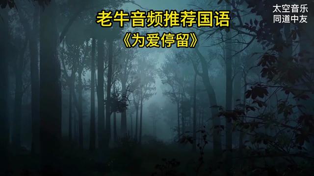 让我们一起《为爱停留》哔哩哔哩bilibili