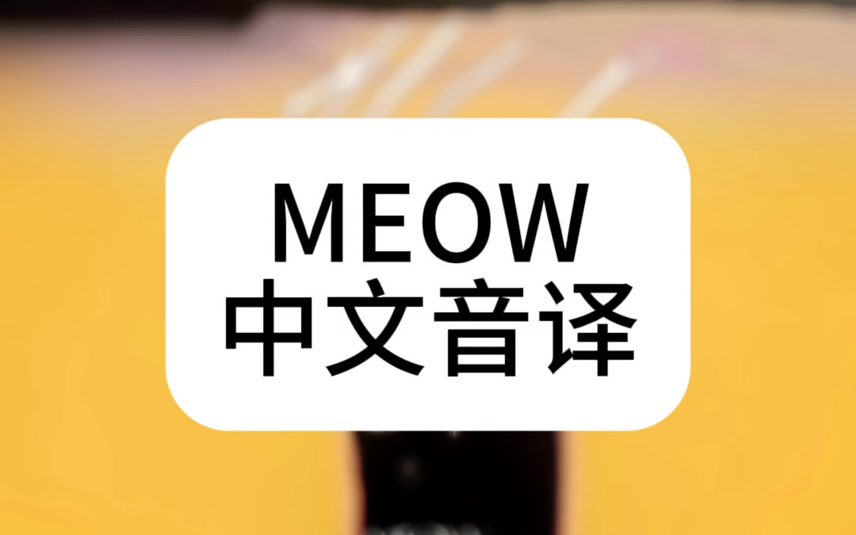 MEOVV出道曲MEOW中文音译哔哩哔哩bilibili