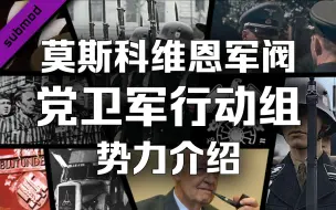 Download Video: 黑色太阳吞噬东欧，地狱恶鬼降临人间【人旗国杂谈·TNO】莫斯科专员辖区内战阵营——党卫军行动组