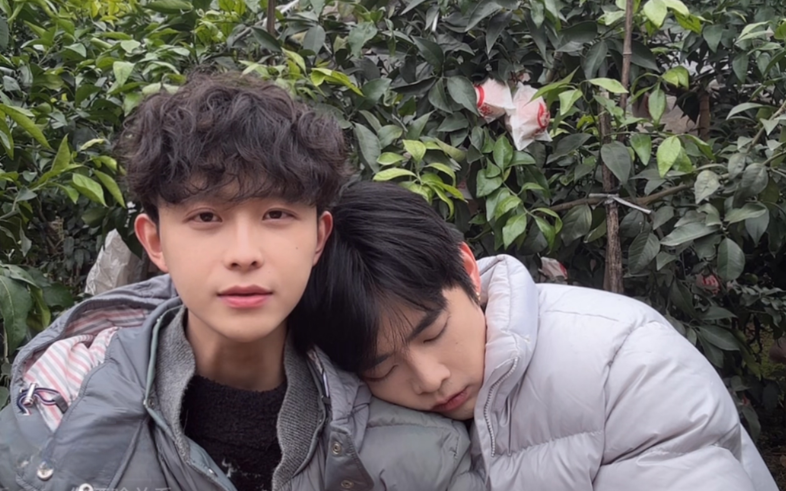 嘉新饼干|2024.12.20直播录屏