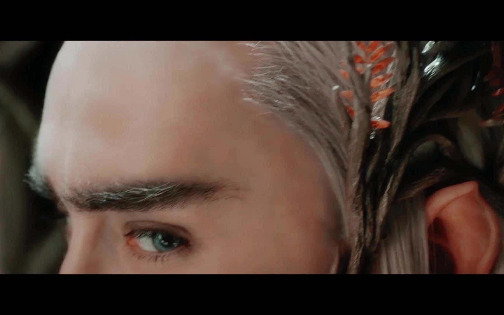 【瑟兰迪尔&踏山河】纵然一去不回,此战又如何.