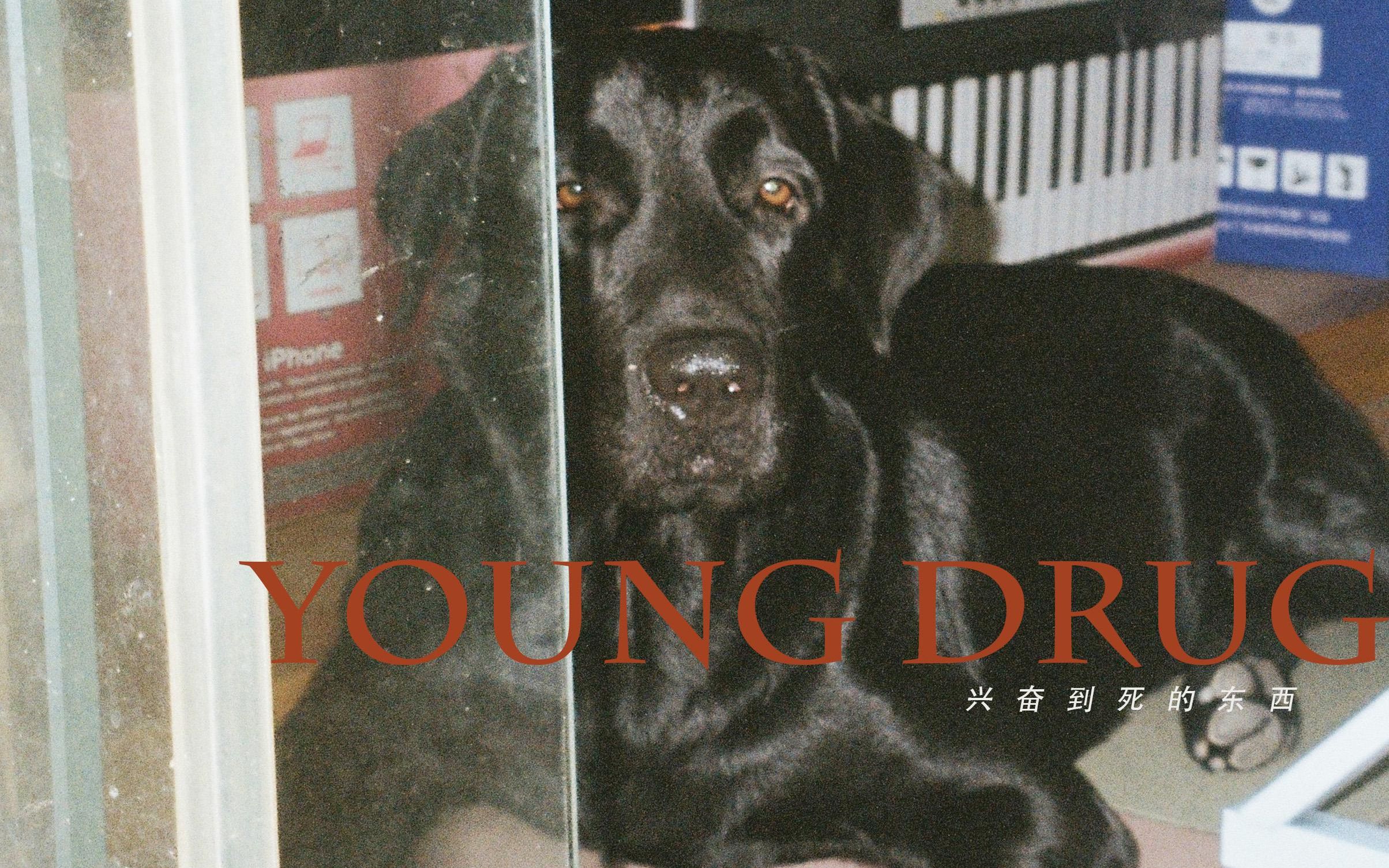 正义回春丹coverby埋葬森林乐队