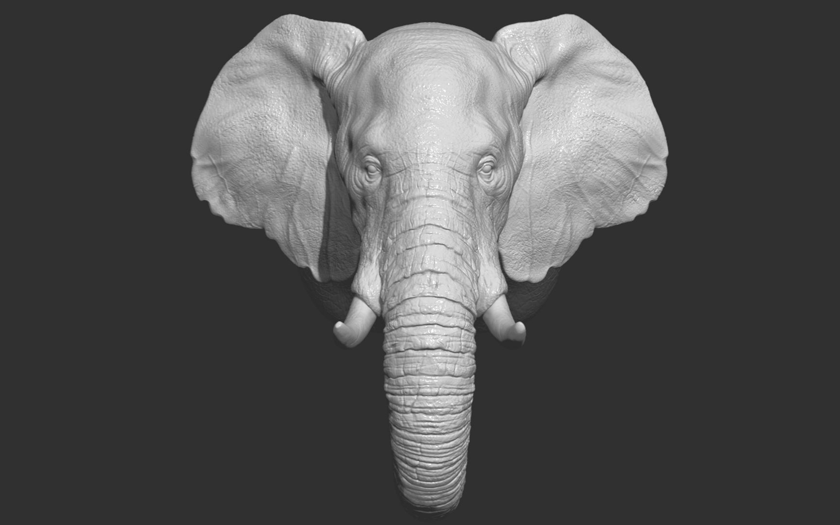 zbrush象头动物雕刻参考资料,zbrush雕刻资料