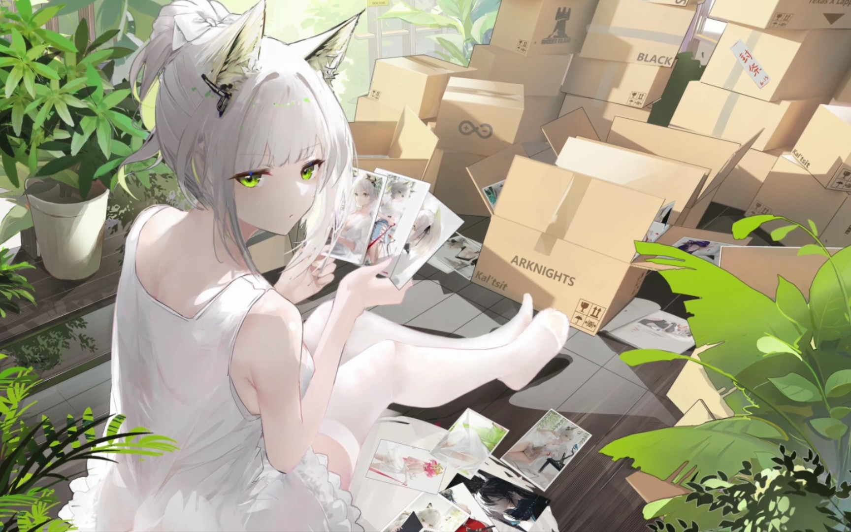 [wallpaper engine]你绝对不能错过的几款《明日方舟》绝美壁纸