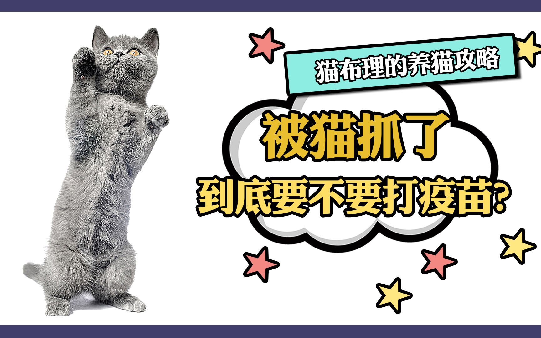 被猫抓了要不要打疫苗哔哩哔哩bilibili