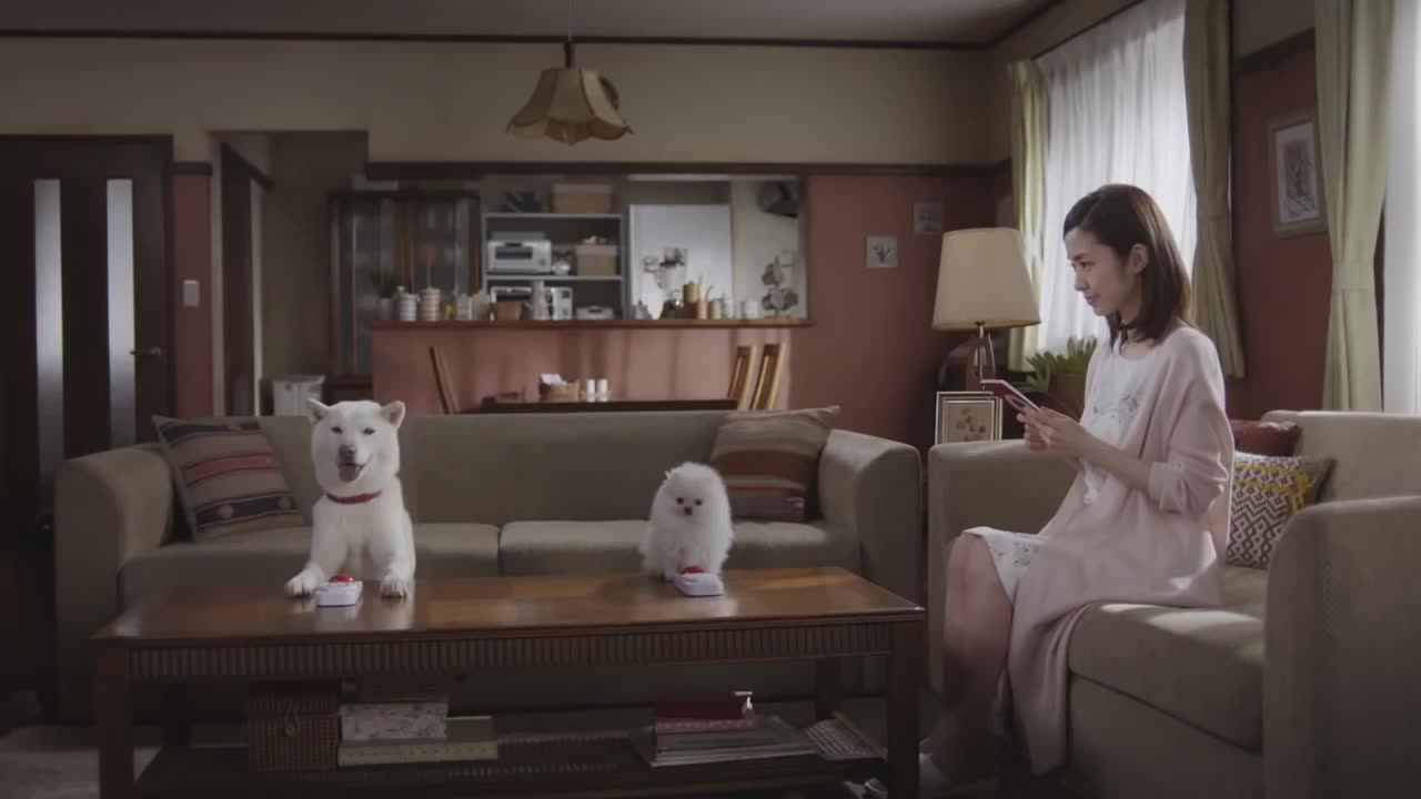 [图]【日本广告】SoftBank 白戶家 CM「光速問答+光速繞口令+超大手機吊飾+琴獎Giga」篇 30sx4 (繁中)