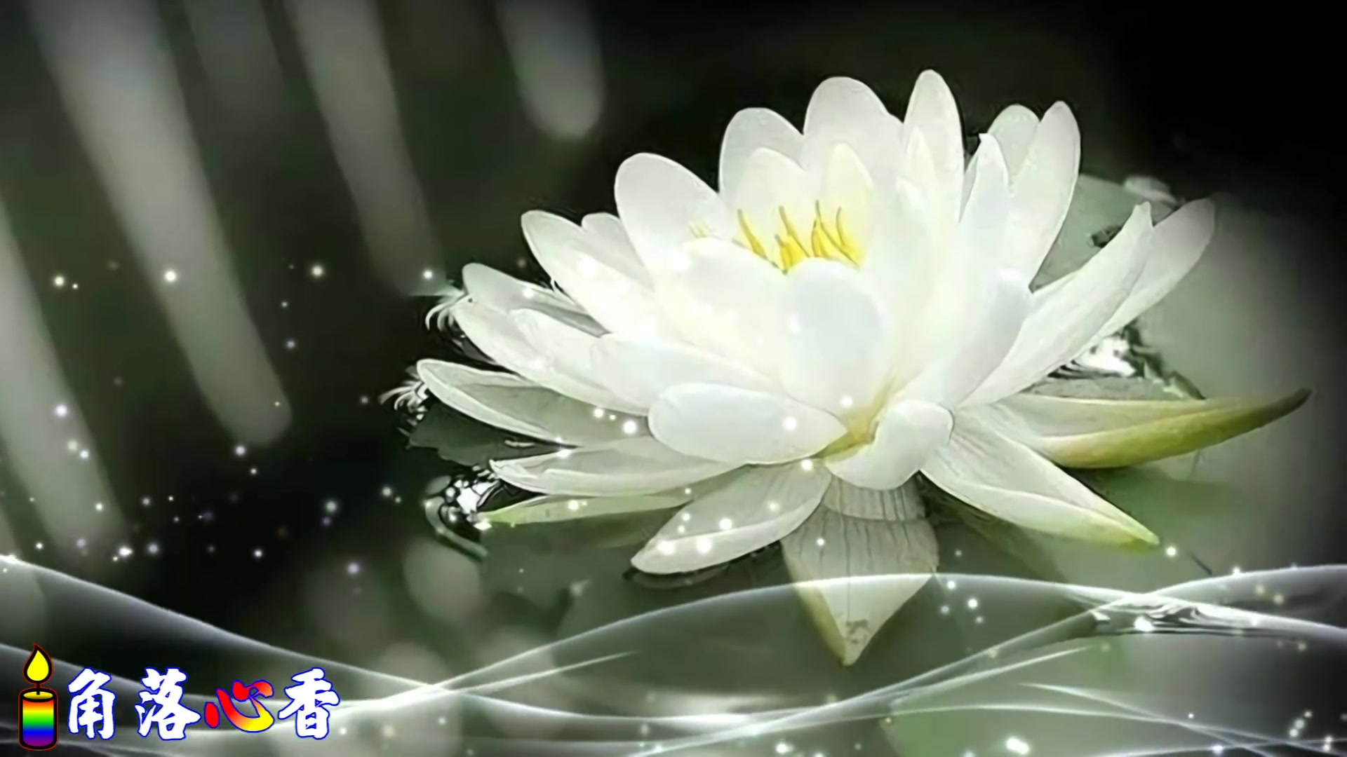 角落心香心定心静心安卍真好听佛歌赞地藏菩萨偈