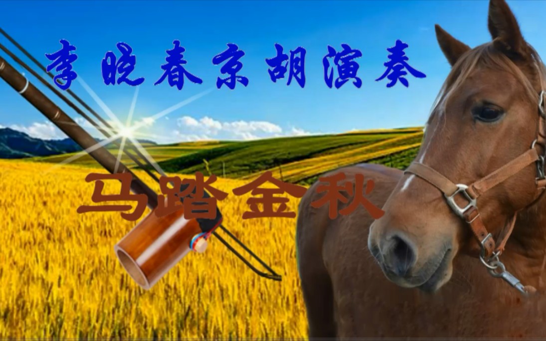 李晓春京胡演奏 京胡独奏曲 马踏金秋