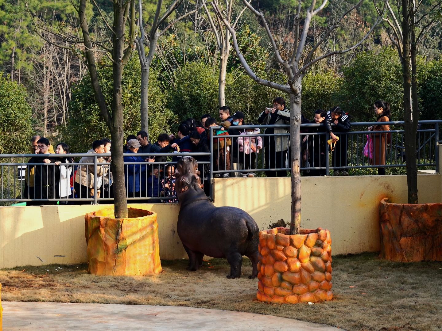 【皖南野生动物园】开园第二天,人山人海,动物园里今天太热闹了