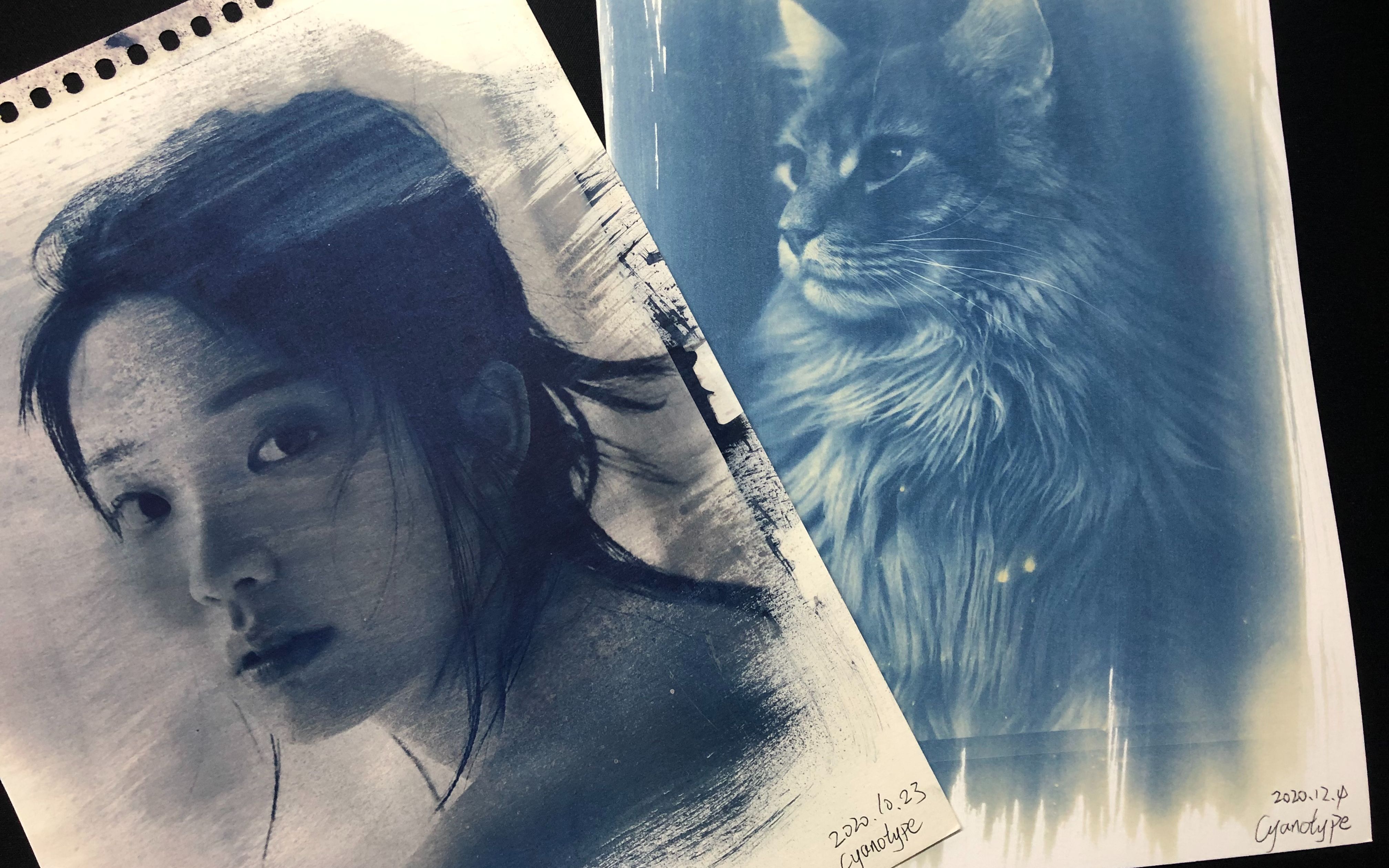 蓝晒印相cyanotype迷人的普鲁士蓝