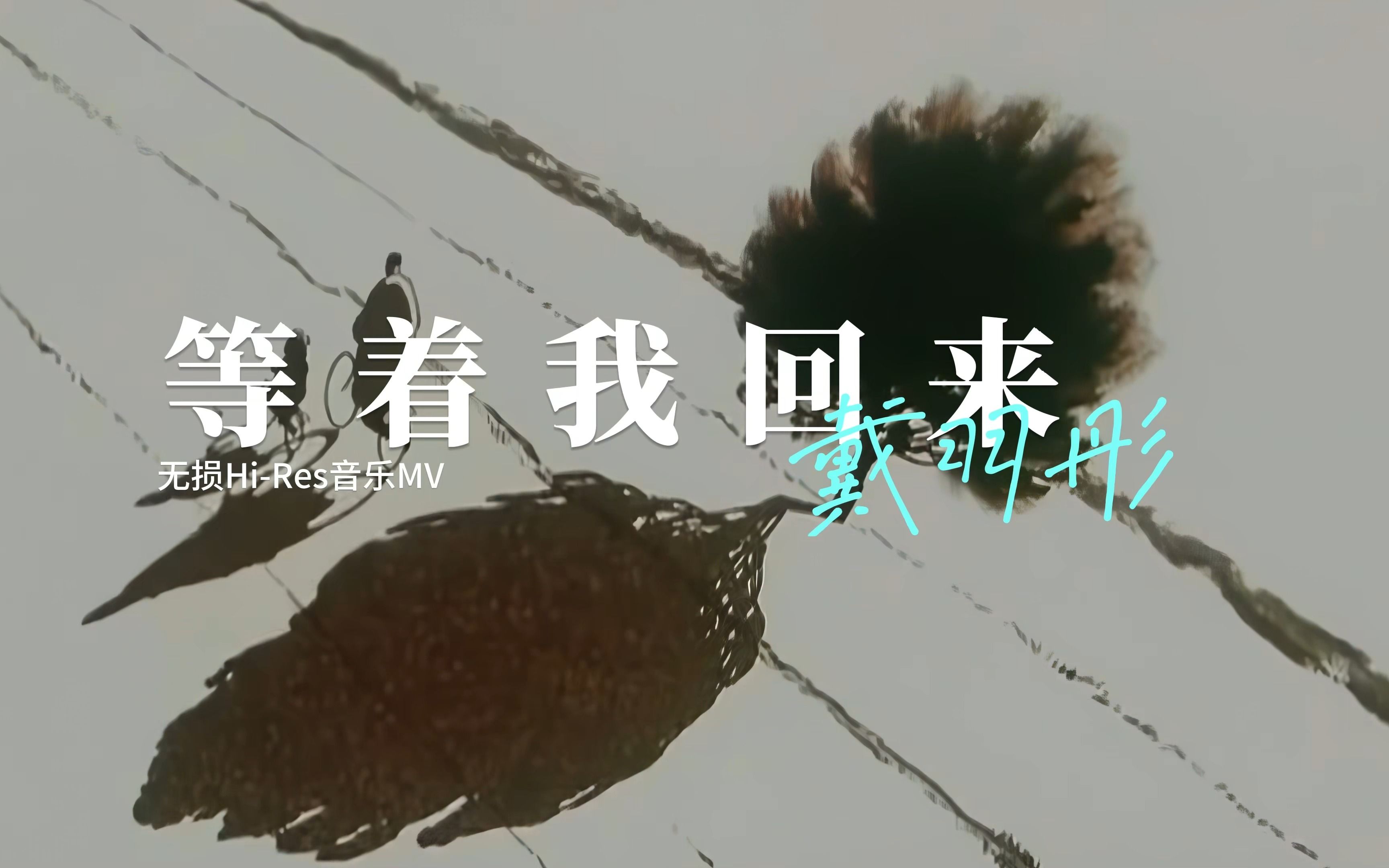 戴羽彤等着我回来(无损音质混剪自制4K60MV)[中文字幕]HiRes(FLAC24/48)哔哩哔哩bilibili