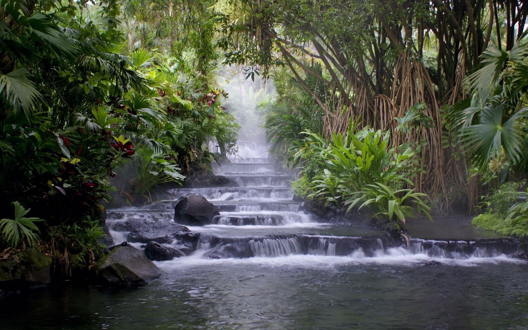 【白噪音】山林小溪流水白噪音,助眠休息自习用